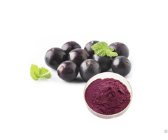 Acai Berry Fruit Powder