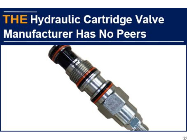 Hydraulic Cartridge Valve Manufacturer Has No Peers