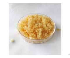 Strong Acid Cation Exchange Resin