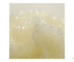 Strong Base Anion Exchange Resin