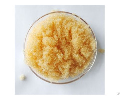 Chromatographic Separation Resin Ca Type