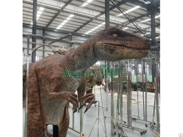 Dino Shows Realistic Velociraptor Costumes