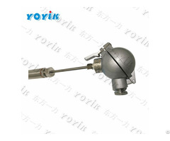 China Supplier Thermocouple Wrnk2 221 Power Plant Spare Parts