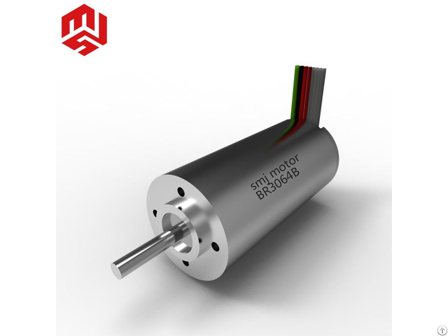 Smj High Speed Dia 30mm 48v Slotless Bldc Motor With Hall Sensors