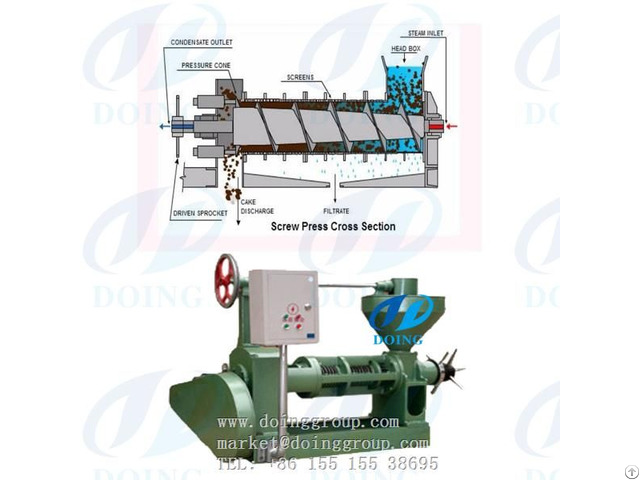 Rice Bran Oil Press Machine