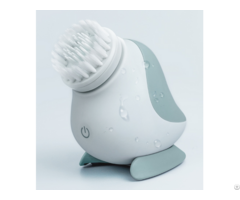 Beauty Equipment Skin Caresonic Facial Cleansing Brush