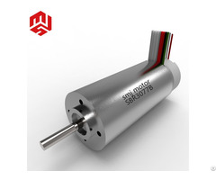 30mm Dia 48v High Torque Brushless Dc Servo Motor With Hall Sensors