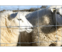 Field Fence Used To Contain Livestock