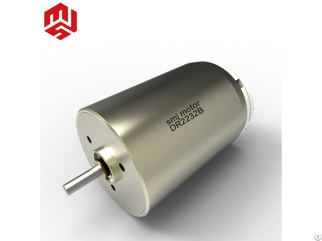 Smj Qualified Coreless And Brushed Rotary Dc Motor With Competitive Price