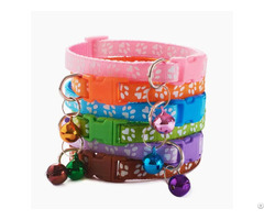 Colorful Pet Collar