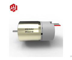 Customizable High Torque Magnetic Brushed Dc Servo Motor