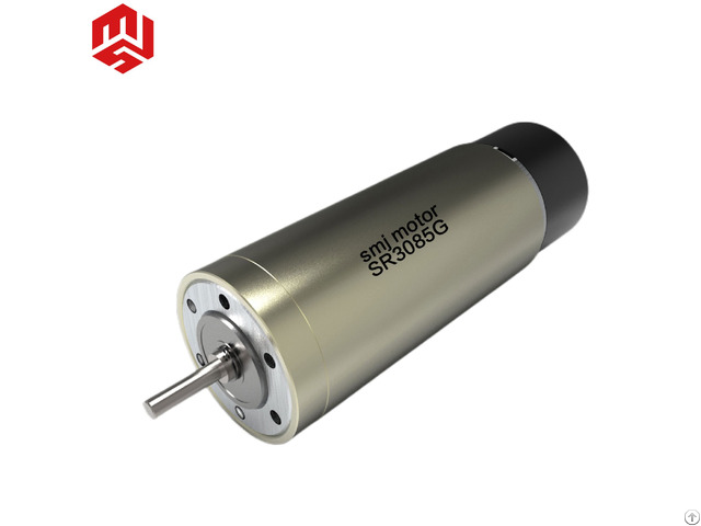 Japanese Factory 24v Diameter 30mm Dc Coreless Servo Motor
