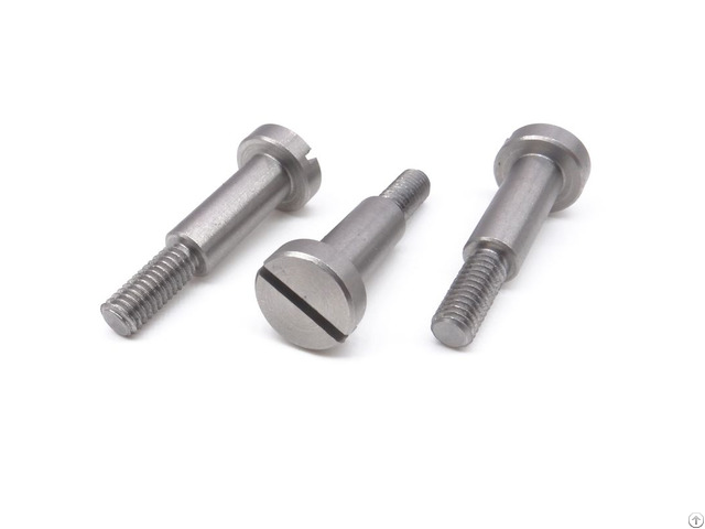 Stainless Steel Step Screw