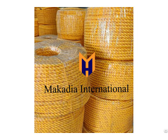 Offering Plastic Rope From Makadia International India