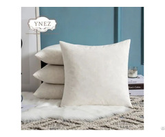 Customized Duck Goose Feather Down Cushion Pillow