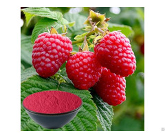 Buy Raspberry Powder