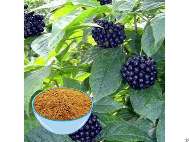 Eleuthero Extract Supplier