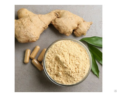 Ginger Extract Powder