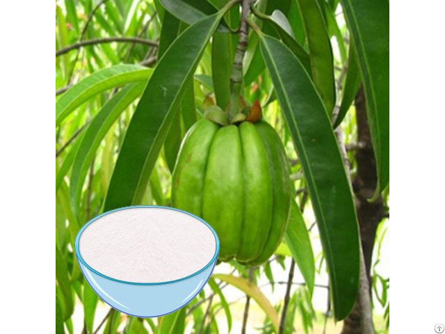 Garcinia Cambogia Extract