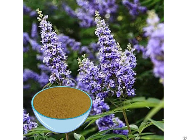 Vitex Extract