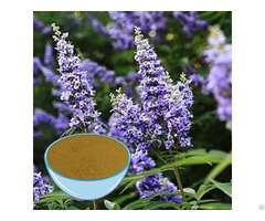 Vitex Extract