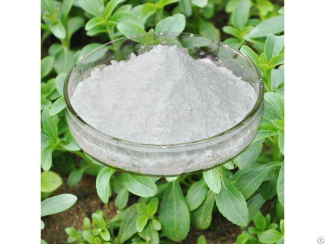 Stevia Extract Powder