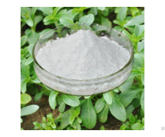 Stevia Extract Powder