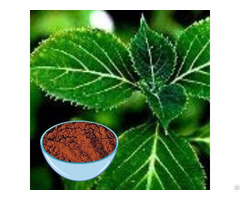 Yohimbe Extract Powder