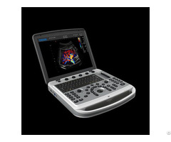 Portable Veterinary Ultrasound