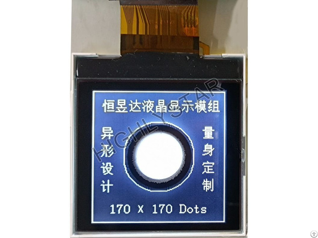 Custom Lcd Display