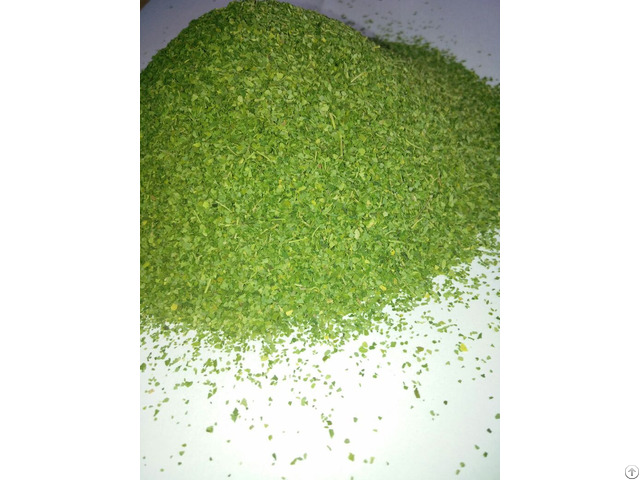 Moringa Tea Cut Leaves Dry