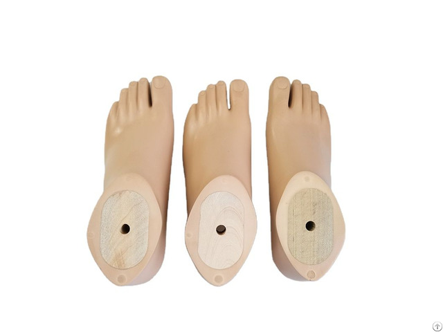 Prosthetic Foot For Sale