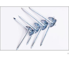 Hot Dipped Galvanized Roofing Nails