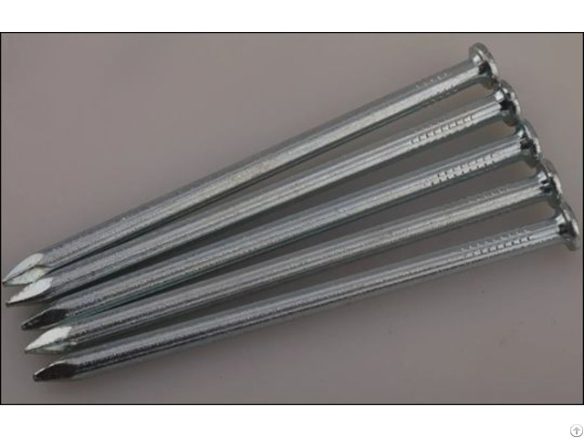 The Common Round Nails