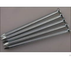 The Common Round Nails