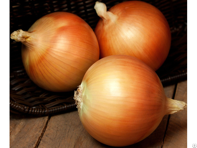 Onion Dried Fresh