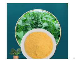 Coenzyme Q10 Powder