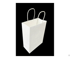 Twist Handle Paper Bag