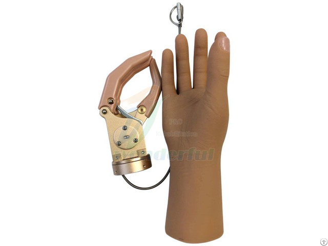 Cable Control Mechanical Hand Prostheses For Be