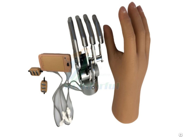 Prosthetics Upper Limbs Myoelectric Control Prosthetic Hand