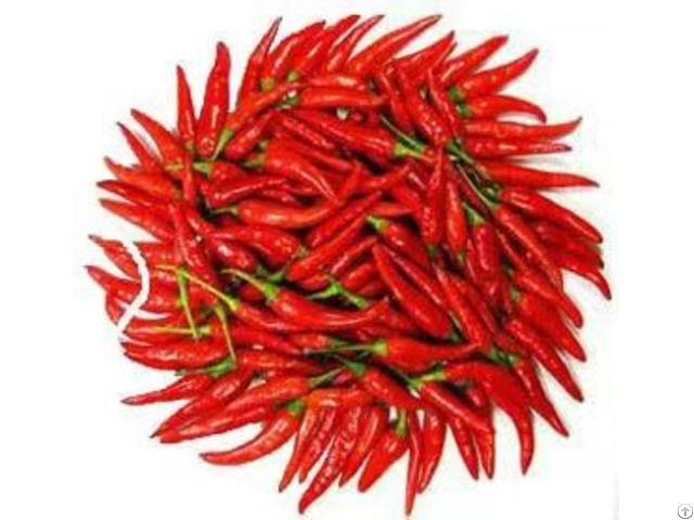 Hot Chilli And Paprika