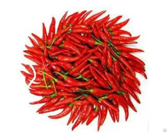 Hot Chilli And Paprika