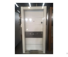 Steel Wooden Security Door