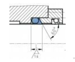 Slip Ring Seal