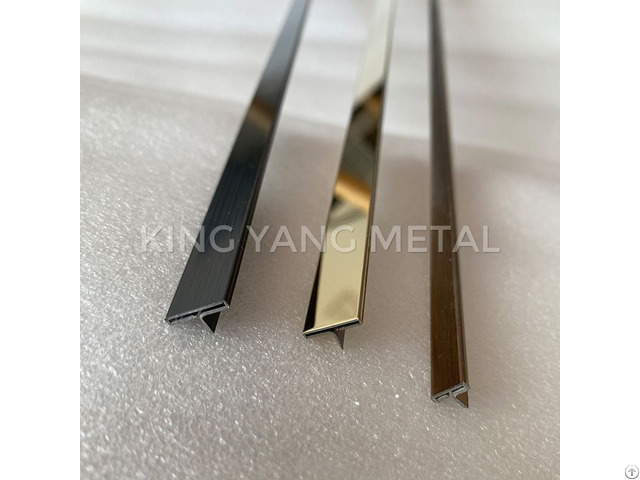 Stainless Steel T Profile Patti