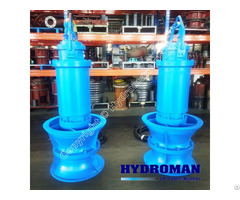 Hydroman® Vertical Axial Flow Pump For Discharging Sedimental And Mud Slurry