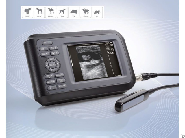 Veterinary Small Compact Ultrasound Scanner
