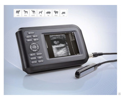 Veterinary Small Compact Ultrasound Scanner