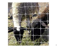 Woven Wire For Cattle Sheep