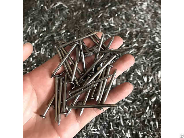 Common Steel Nails